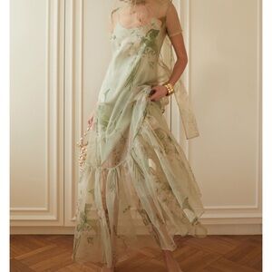 Few Moda Melody Sheer Floral A-Line Maxi Dress in Pale Green